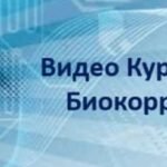 Видеокурс «Основы и практика. Биокоррекция морганием глаз"